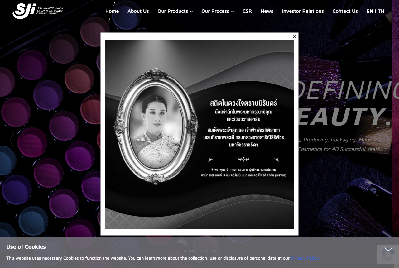 S&J International Enterprises official website screenshot